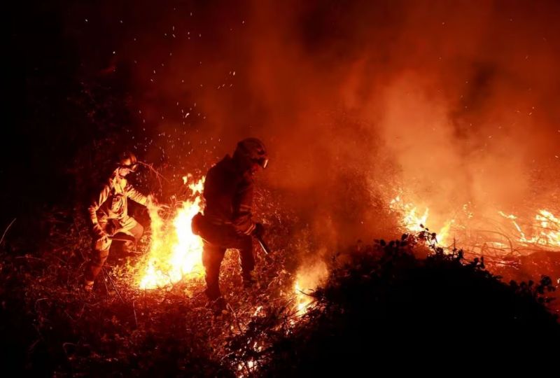 World News: Insight: Spain braces for wildfires as beef farmers battle red tape